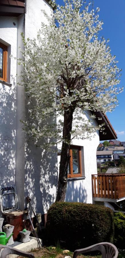 Haus Levi Lägenhet Neukirch  Exteriör bild
